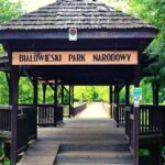 From Warsaw: Small Group Tour To Bialowieza National Park Tour Overview And Pricing