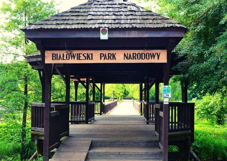 From Warsaw: Small Group Tour To Bialowieza National Park Tour Overview And Pricing