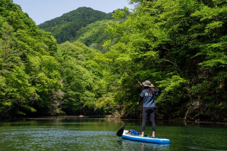 Fujiwara Lake Tour Review: Relax And Paddle Tour Overview And Pricing