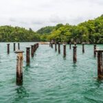 Full Day At Los Haitises National Park Tour Overview