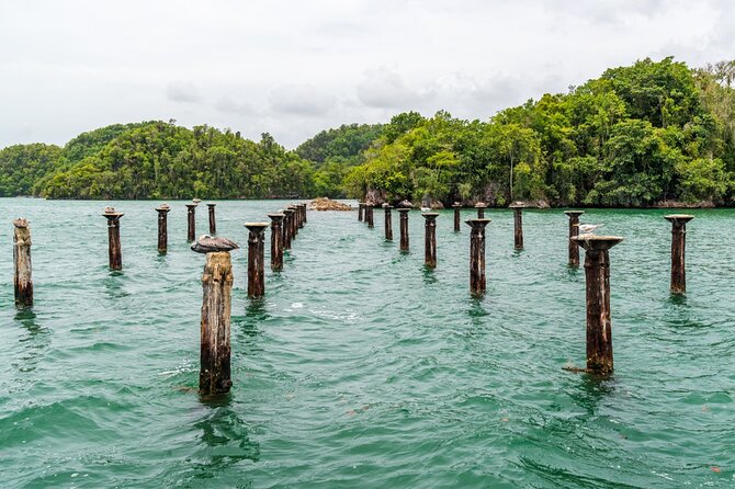 Full Day At Los Haitises National Park Tour Overview