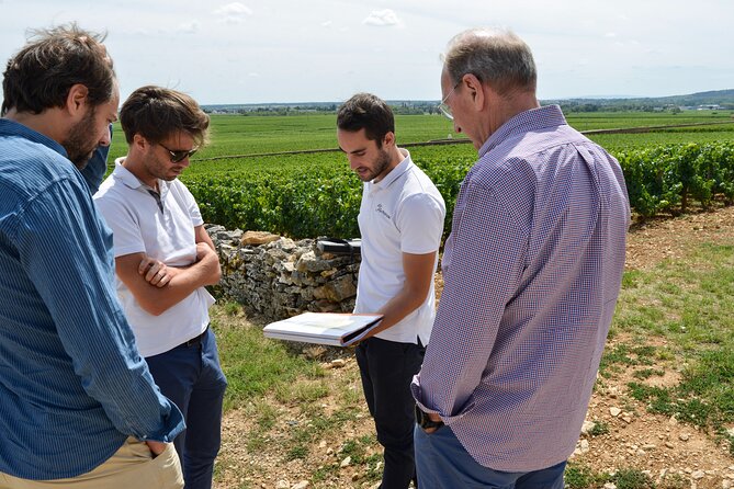 Full Day From Dijon: the Most of Burgundy With Lunch - Tour Overview