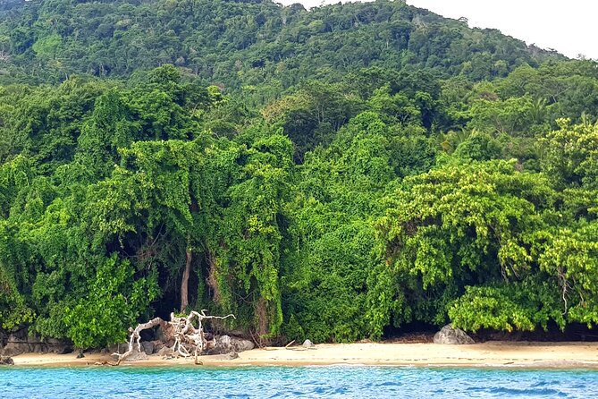 Full-Day Jungle Trek on Nosy Komba (Lemur Island) With the Black Lemur Sanctuary - Tour Overview