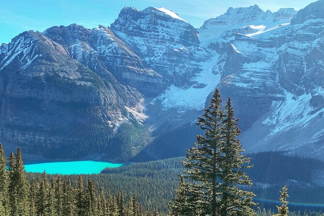 Full Day Larch Hike, Departure From Banff Tour Details