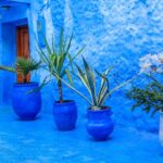 Full Day Private Trip To Chefchaouen The Blue City From Tangier Highlights Of Chefchaouen