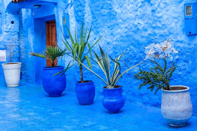 Full Day Private Trip To Chefchaouen The Blue City From Tangier Highlights Of Chefchaouen