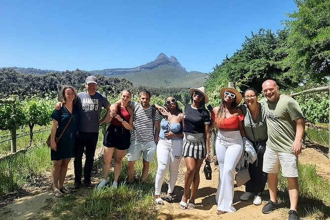 Full Day Small Group Wine Tour Cape Town and Stellenbosch - Tour Overview and Details