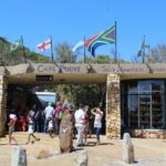 Full Day Visit To Cape Point Cape Of Good Hope For Special Needs From Cape Town Tour Overview