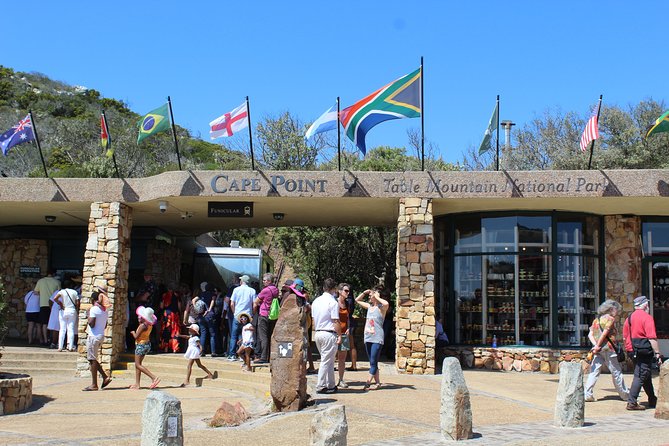 Full Day Visit to Cape Point Cape of Good Hope for Special Needs From Cape Town - Tour Overview