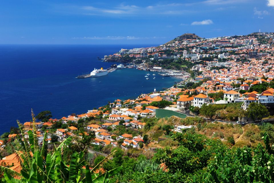 Funchal 3 in 1: 48-Hour Hop-On Hop-Off Bus Tour - Overview and Pricing