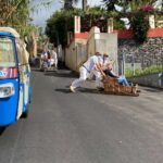 Funchal: Toboggan And Old Town Experience With Tukway Funchal: Scenic Gem Of Madeira