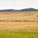 Gettysburg: Seminary Ridge Self Guided Walking Tour Tour Overview And Details