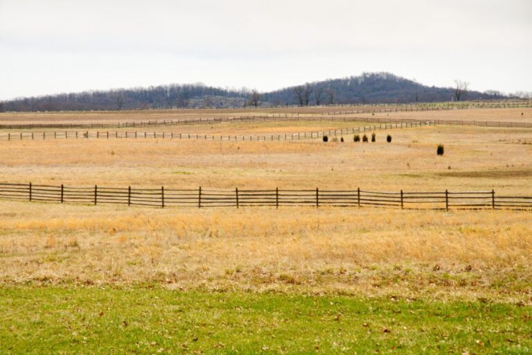 Gettysburg: Seminary Ridge Self Guided Walking Tour Tour Overview And Details