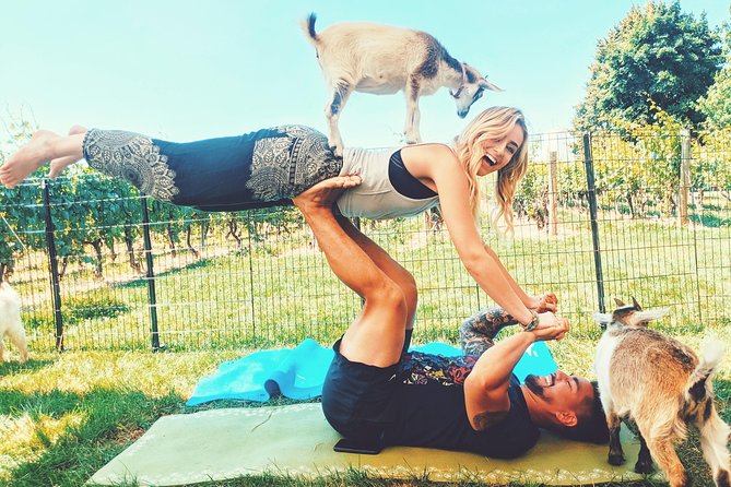 Goat Yoga and Wine Tasting - Meeting Point and Start Time