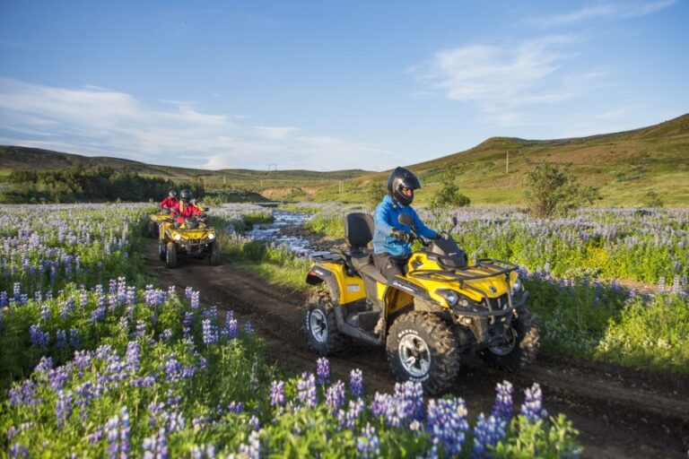 Golden Circle And Atv: Full Day Combo Tour From Reykjavik Tour Overview