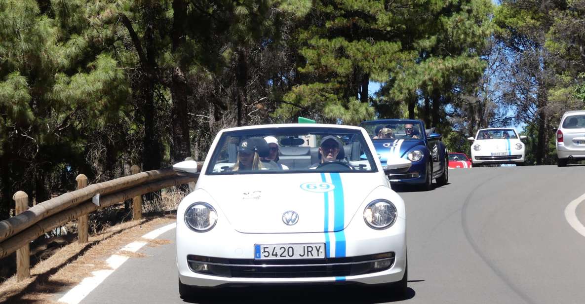 Gran Canaria: Convertible Beetle Tour - Tour Overview