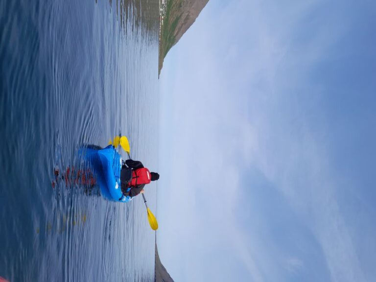 Guided Kayak Tour In Siglufjörður. Tour Overview