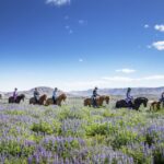 Hafnarfjörður: Horseback Riding Tour In Reykjavik Area Tour Overview