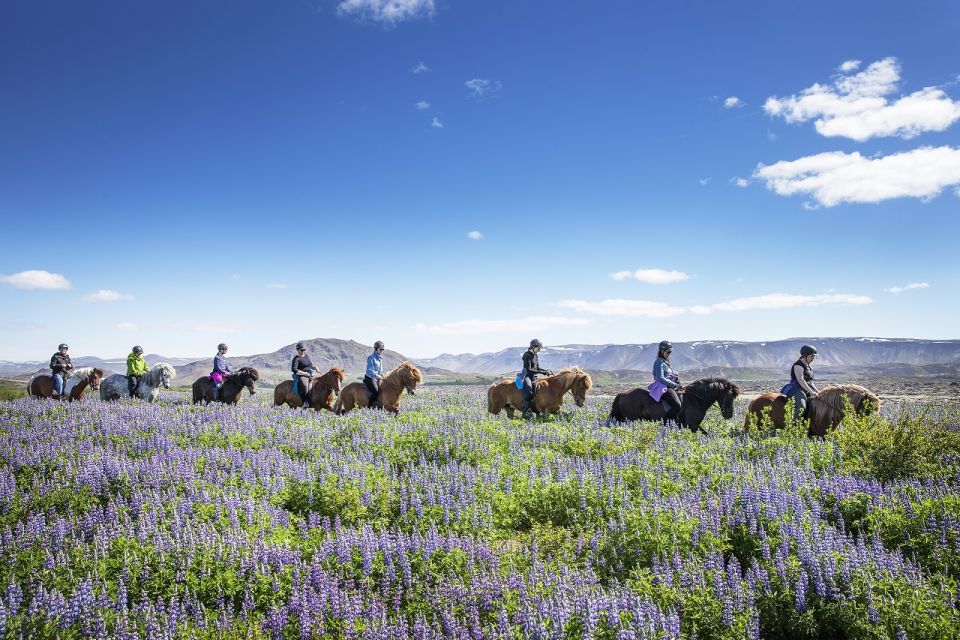 Hafnarfjörður: Horseback Riding Tour in Reykjavik Area - Tour Overview