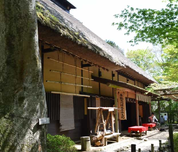 Hakone Geology & History Tour - Tour Overview and Details