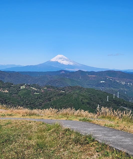 Hakone One Day Private Tour With English Speaking Driver - Tour Overview