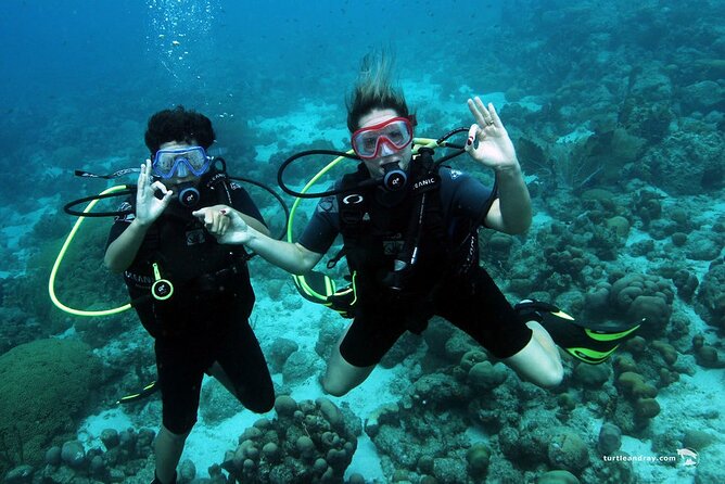 Half Day Diving Adventure With Transportation Included - Inclusions and Additional Info