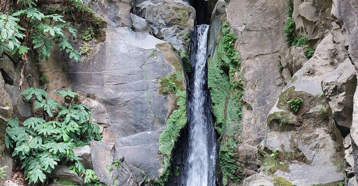 Half Day Lagoa Do Fogo 4X4 Tour and Gin Library - Tour Overview