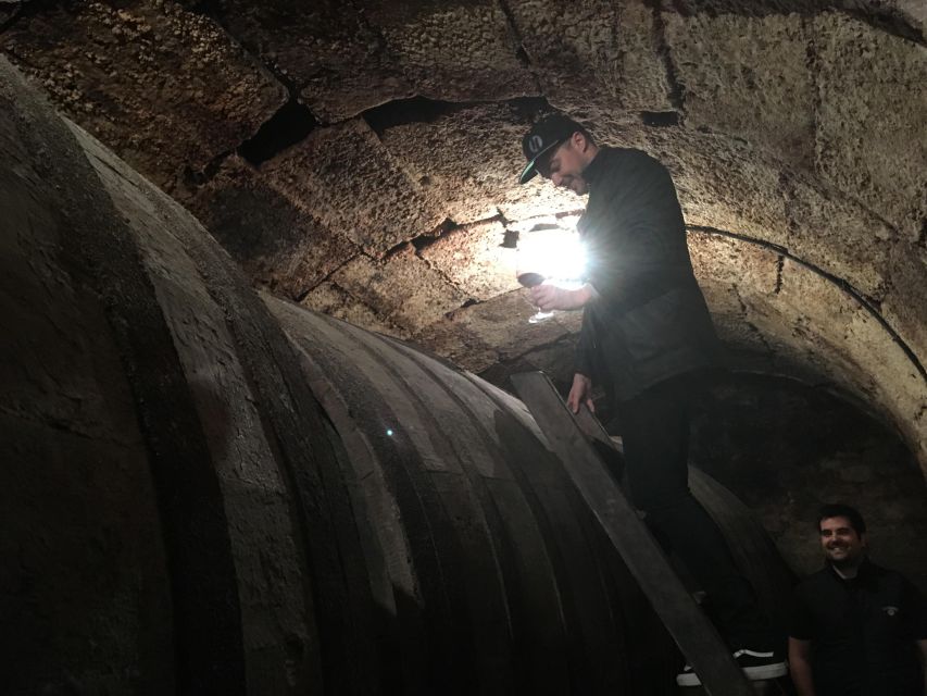 Half Day Rioja Wine Tour (from Rioja) - Riojas Winemaking Tradition