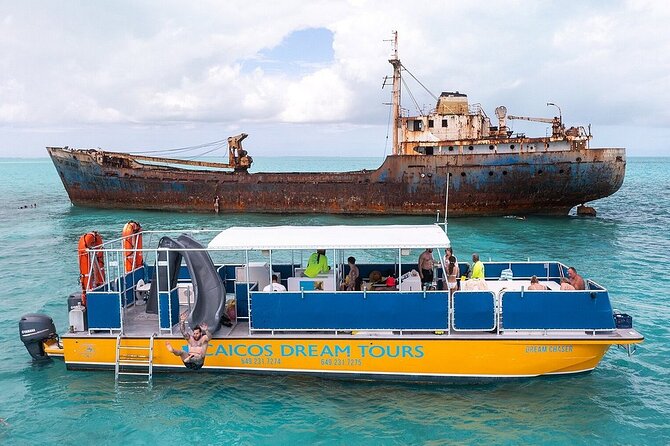 Half-Day Shipwrecks Tour and Floating Bar, Adults Only - Tour Highlights