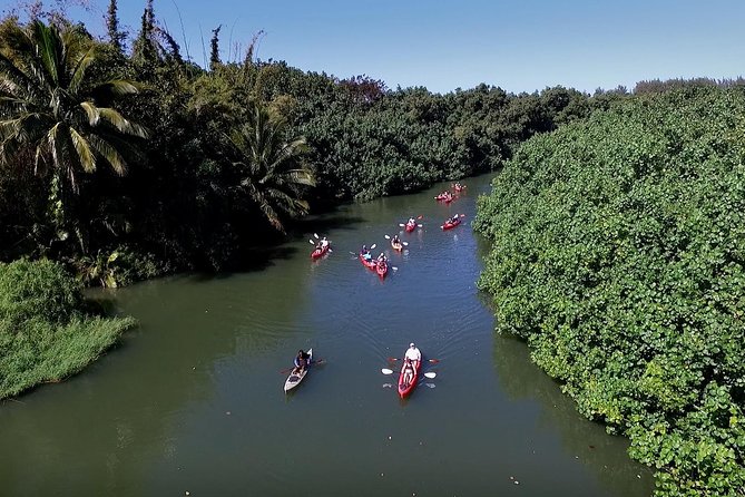 Hanalei Bay Am Kayak And Snorkel Tour Activities And Inclusions