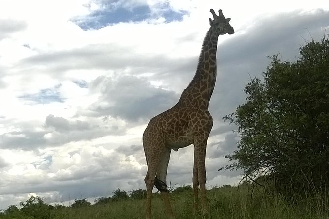 Hells Gate National Park Private Bike Tour From Nairobi - Tour Summary