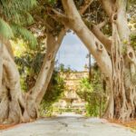 Highlights Of Malta Tour:icons And Experiences Of The Island Tour Overview And Pricing