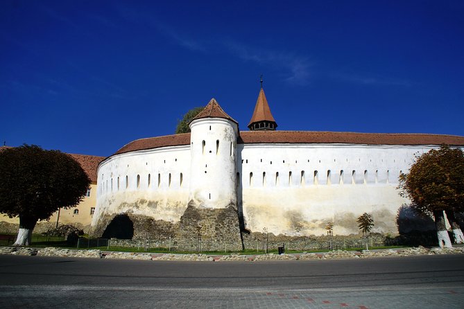 Highlights Of Transylvania Private Tour Discovering Brasovs Historic Town