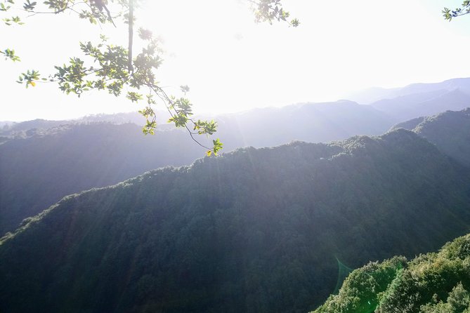 Hike in Laurisilva Levada Do Rei - Madre of Life Small Group Guided Walk - Tour Overview