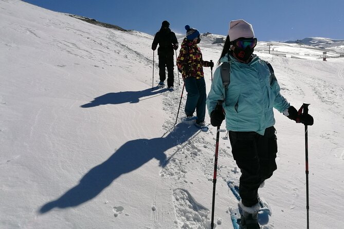 Hiking and Snowshoeing in the Sierra Nevada Park, Granada - Overview of the Experience