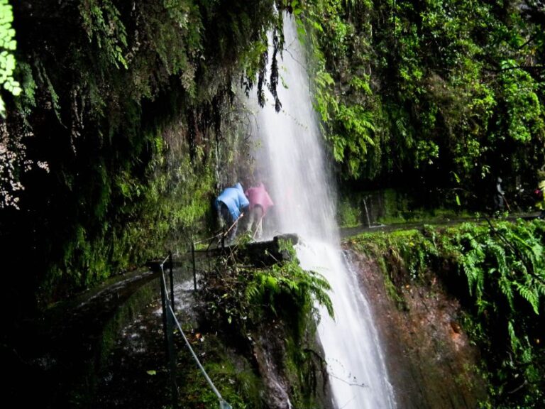 Hiking Levadas Of Madeira: Levada Do Rei Overview Of The Activity