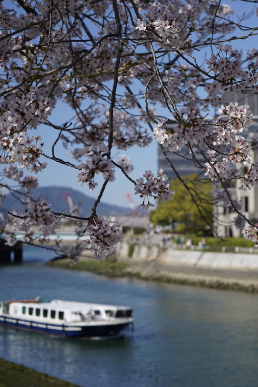 Hiroshima/Miyajima Private Custom Tour Review - Experience Highlights