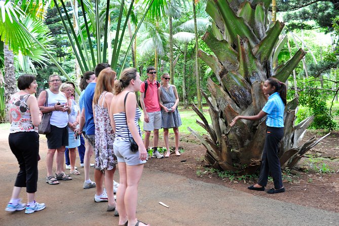 Historical Guided Day Tour : City Sugar World Botanical Garden Tour Details And Inclusions