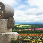 Hokkaido: Flower Sea, Pastoral, And Natural Scenery Day Tour Tour Overview And Pricing