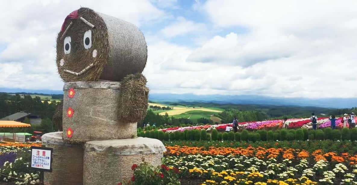 Hokkaido: Flower Sea, Pastoral, and Natural Scenery Day Tour - Tour Overview and Pricing