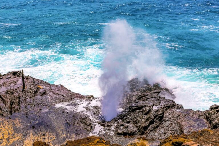 Honolulu: Oahu Sights And Bites Island Tour Tour Overview