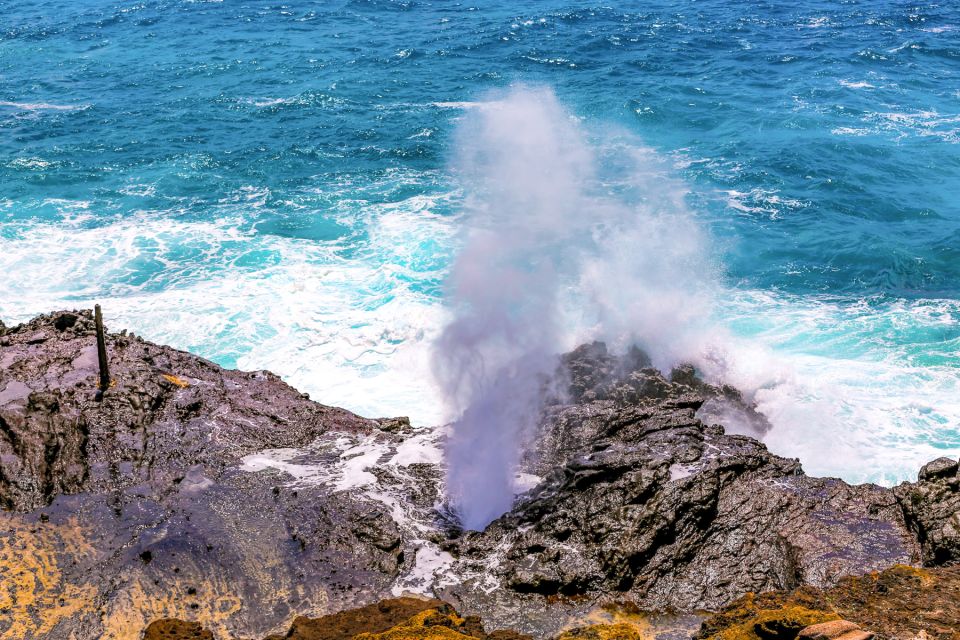 Honolulu: Oahu Sights and Bites Island Tour - Tour Overview