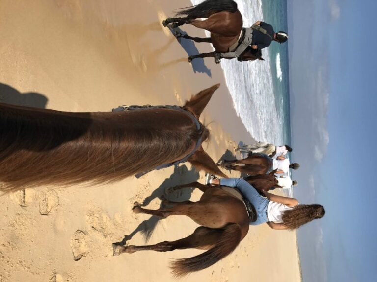 Horse Riding On The Beach With Private Transfer From Lisbon Activity Description