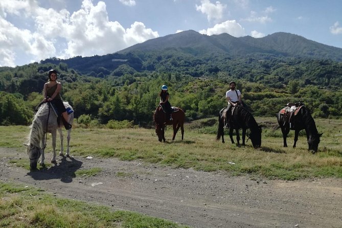 Horse Riding on Vesuvius - Overview of the Tour