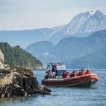 Howe Sound Sea Safari Cruise Whats Included In The Package