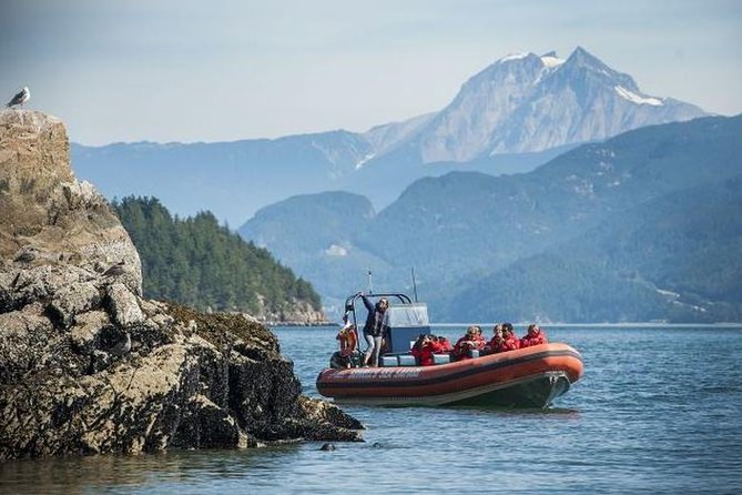 Howe Sound Sea Safari Cruise Whats Included In The Package