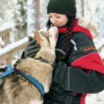 Husky Safari 1 Hour (10 Km) Small Group Mushing Experience Overview Of The Husky Safari