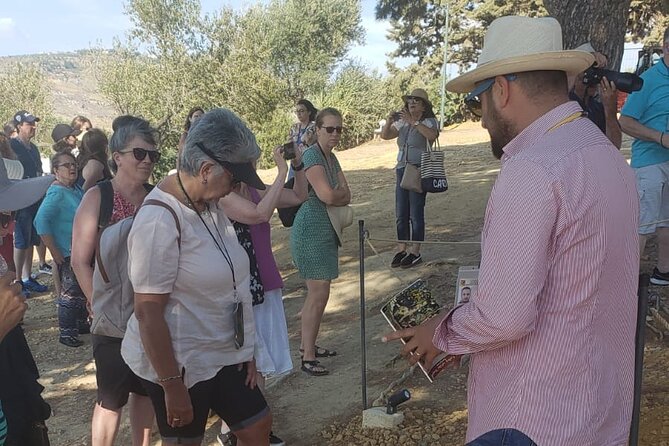 I Tour With the Archaeologist: Group Visit at Sunset to the Valley of the Temples - Meeting Point and Directions