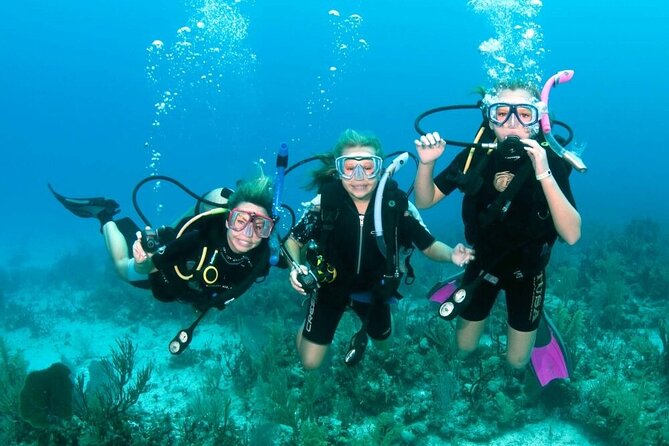 Intro Diving for Beginners 2 Stops Diving With Lunch in Hurghada - Included in the Tour