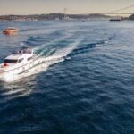 Istanbul: Bosphorus Cruise On A Private Luxury Yacht Tour Overview